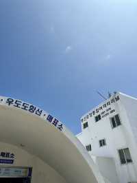 제주도보다 더 제주도 같은 곳? 에메랄드빛 우도 여행 코스