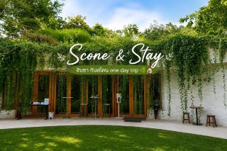 🧁🐇 Scone & Stay | จิบชา กินสโคน One Day Trip  🌿🏡