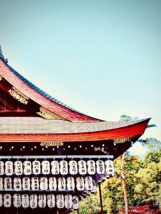 Shimane’s Izumo Taisha Sacred Pine Avenue