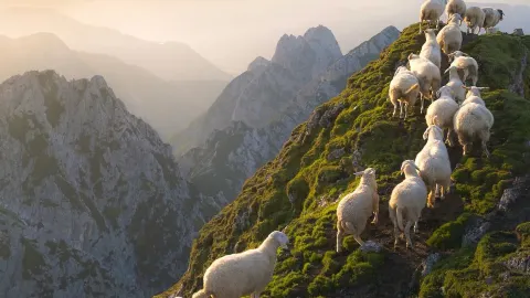 Soča Valley, Slovenia 🇸🇮💚

Soča Valley is one of Slovenia — traveler post in Kobarid