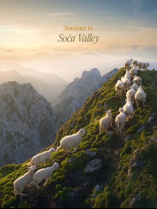 Soča Valley, Slovenia 🇸🇮💚

Soča Valley is one of Slovenia’s most breathtaking destinations—a place where emerald-green rivers, dramatic Alpine mountains, waterfalls, forests, and peaceful villages come together in one incredible landscape. 🏔️💦

The valley is named after the Soča River, famous for its striking turquoise-emerald color. The river winds through the Julian Alps, creating spectacular scenery almost everywhere you look.

🌊 Best places to explore

· Soča River – crystal-clear emerald water and beautiful river viewpoints
· Bovec – the adventure capital of the valley, perfect for rafting, kayaking and hiking
· Kobarid – charming town surrounded by mountains and waterfalls
· Tolmin Gorges – dramatic cliffs, narrow canyons and turquoise streams
· Kozjak Waterfall – a magical waterfall hidden inside a rocky chamber
· Great Soča Gorge – one of the most photogenic sections of the river
· Vršič Pass – spectacular Alpine road with incredible mountain views
· Mangart Saddle – one of Slovenia’s highest accessible mountain roads

🥾 What can you do?

Soča Valley is perfect for hiking, rafting, kayaking, canyoning, cycling, paragliding and scenic road trips. Even if you’re not into adventure sports, simply driving along the Soča River and stopping at viewpoints is an unforgettable experience.

📸 Best time to visit

May–October is generally the best period. Summer offers warm weather and ideal conditions for river activities, while September and early October can be especially beautiful with fewer tourists and changing autumn colors.

Soča Valley isn’t just a place you visit—it’s a landscape you remember. 💚🇸🇮🏔️