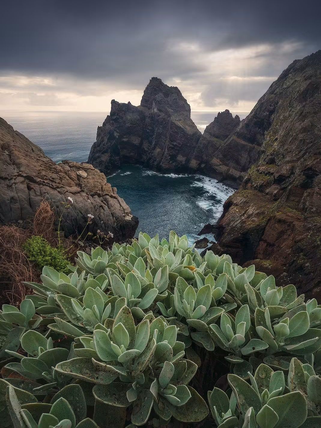 🌿 มาเดรา ประเทศโปรตุเกส — เกาะแห่งฤดูใบไม้ผลิอันนิรันดร์