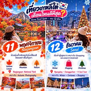 🇰🇷 去韓國旅遊的最佳月份是什麼時候？韓國旅遊指南－全年適用🌸☀️🍁❄️