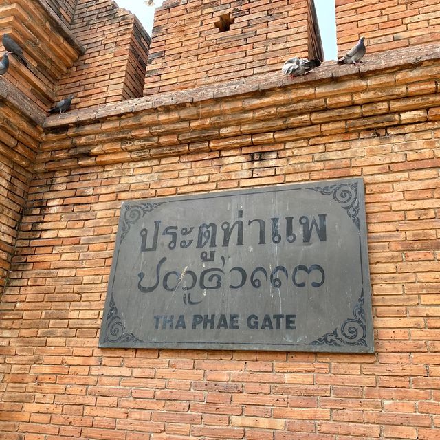Tha Phae Gate in Chiang Mai, Thailand🇹🇭