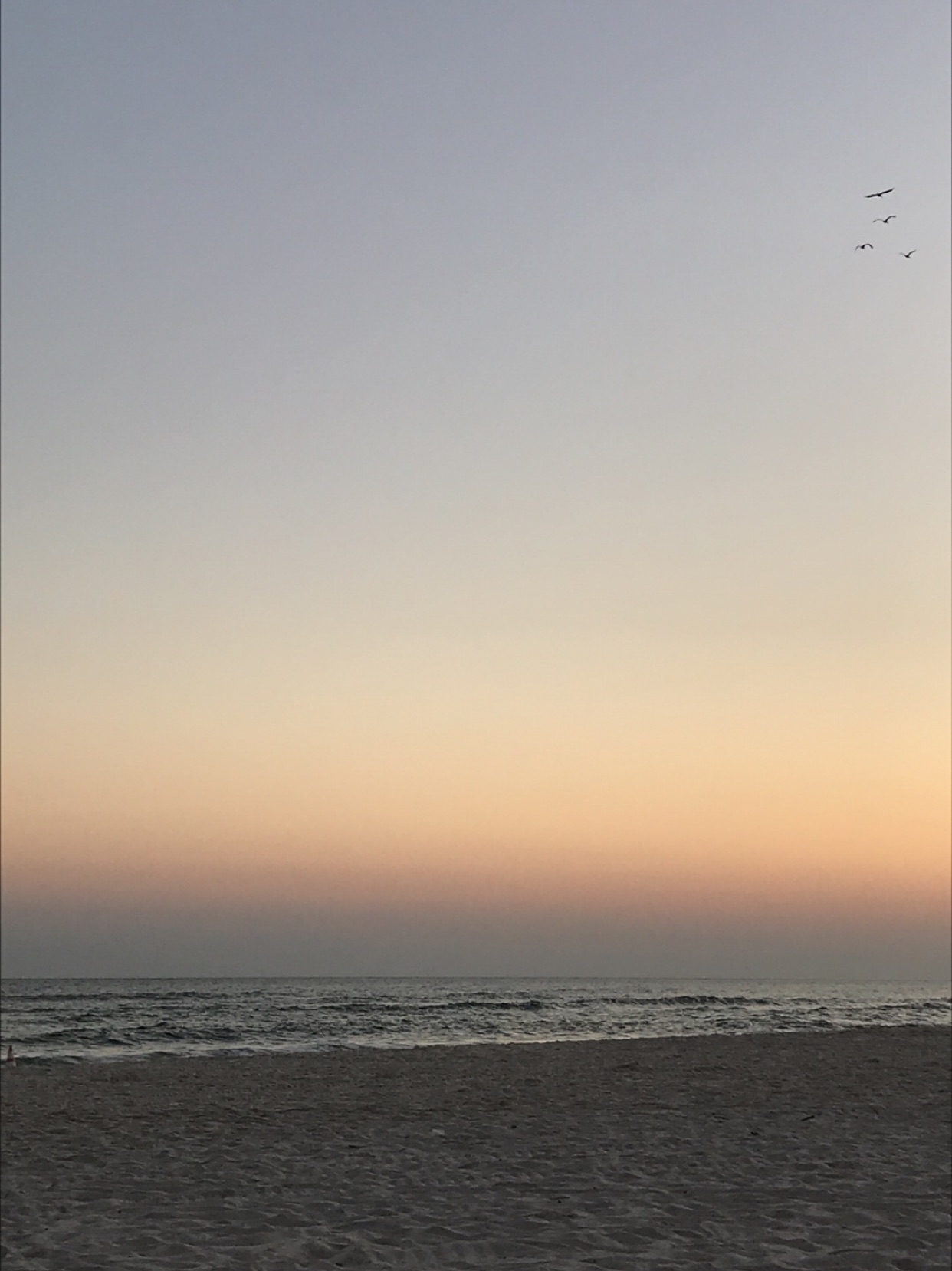 #海灘生活