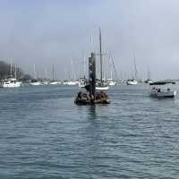 Took a little trip down central California to Morro Bay & Pismo Beach 