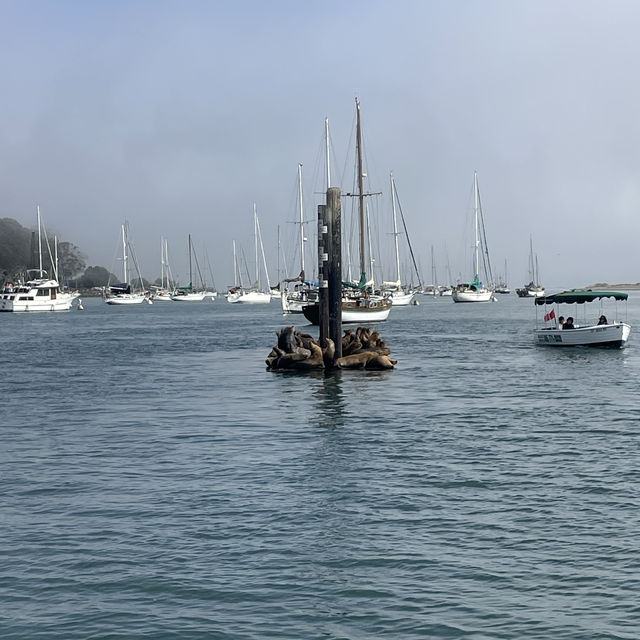 Took a little trip down central California to Morro Bay & Pismo Beach 