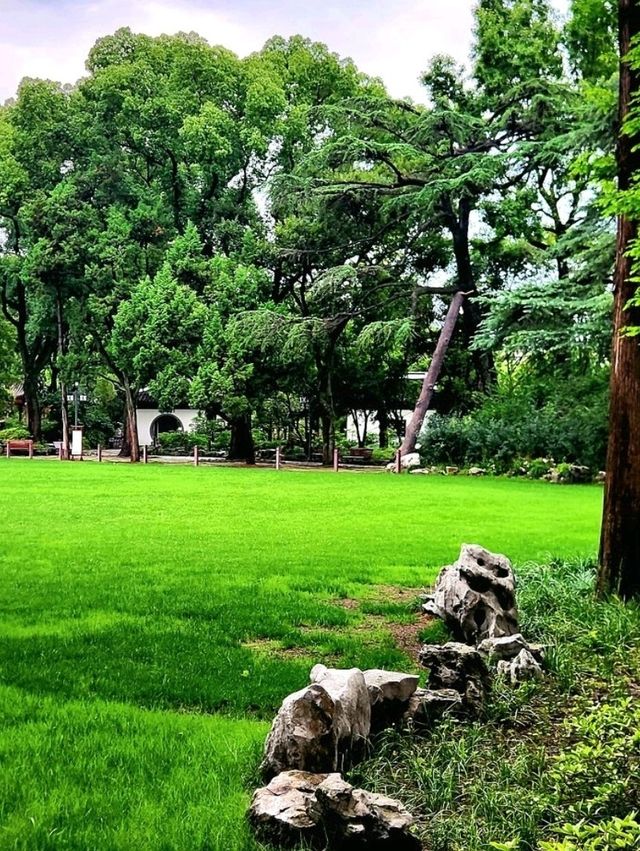 Amazing trip in Shanghai