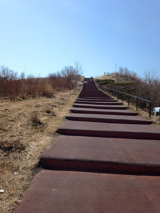 🏞️ 洞爺湖・昭和新山・熊牧場一日攻略