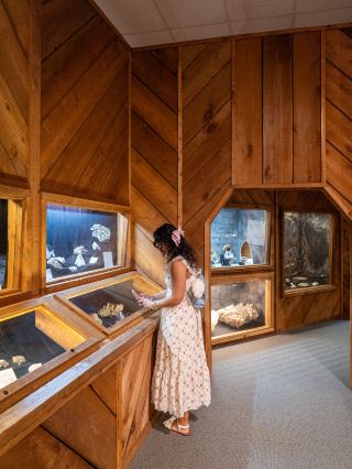 Gulf Coast History & Wildlife Under One Roof 🐚