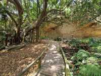 Autumn at Botanical Garden Cagliari 🗺️