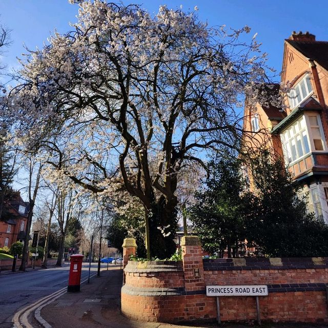Student Friendly City 👉🏼 Leicester 