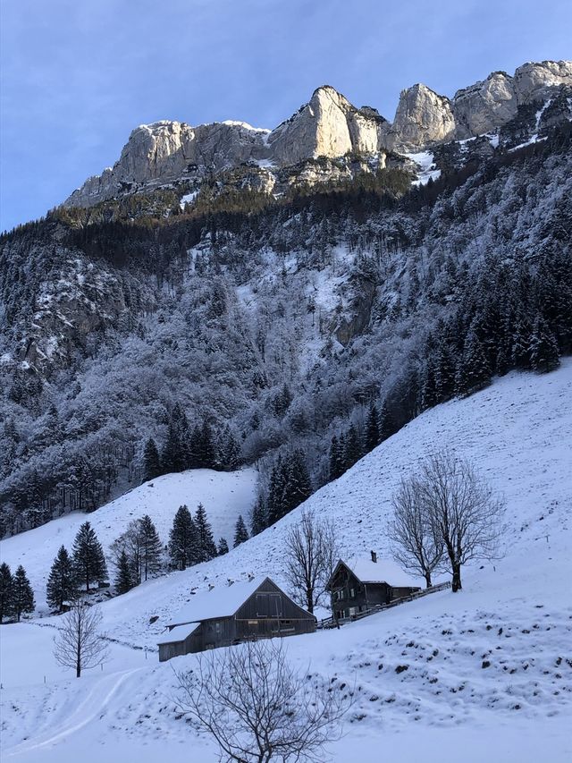 🇨🇭 겨울 끝판왕 스위스 여행지 