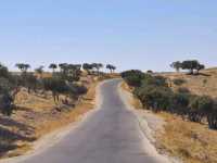 Beautiful Landscapes Surrounding Al-Baydha