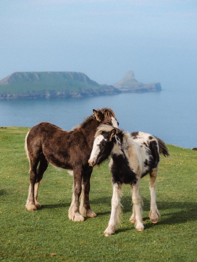  Rhossili Bay