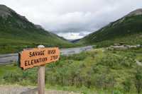 Discovering Denali National Park
