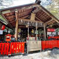 💝野宮神社💜激發愛情聞名的戀愛神社👩‍❤️‍💋‍👨