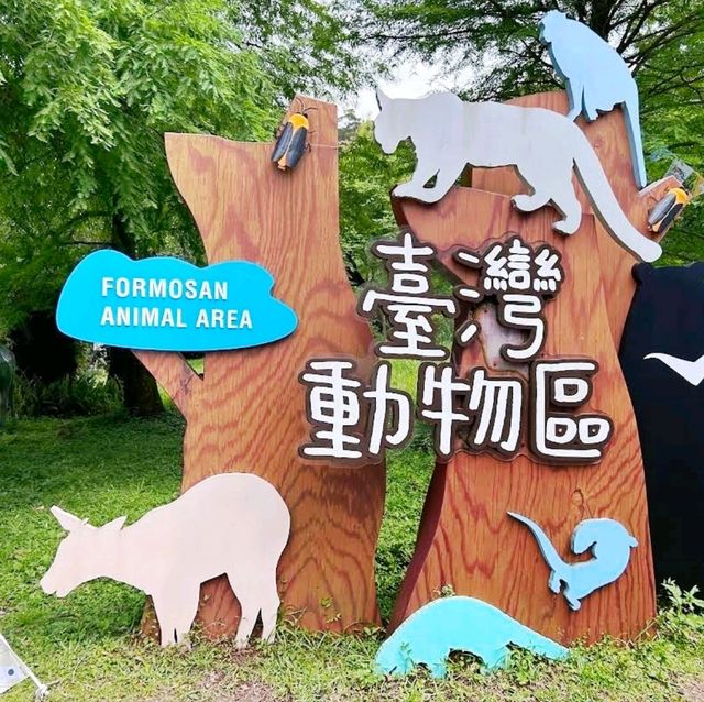 《臺北市立動物園》🐼熊貓熱🐼園區極大一天都行不完🦁