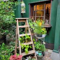 🌸三鷹之森吉卜力美術館🌸宮崎駿動畫工作室為主題