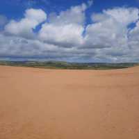 Sand Dunes in Devon UK