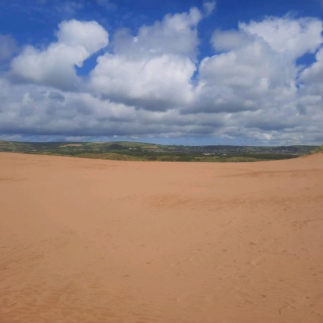 Sand Dunes in Devon UK