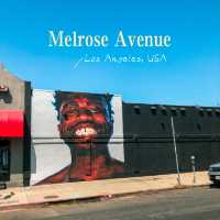 Exploring Melrose Avenue in LA, California 🇺🇸