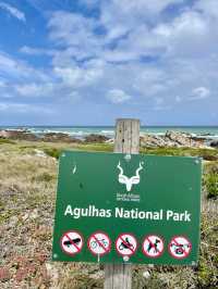 📍Agulhas National Park, South Africa 🇿🇦 