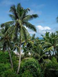 Constance Lemuria Praslin Seychelles
