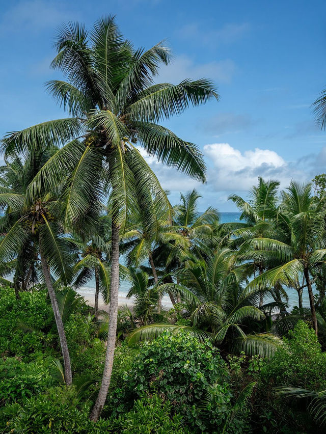 Constance Lemuria Praslin Seychelles