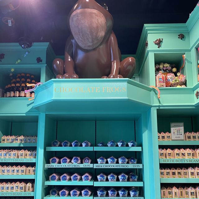 A Dash of Magic: Retail Delights at Platform 3/4