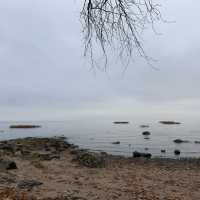 Autumn Charms of Alexandria: A Day by the Bay in Peterhof