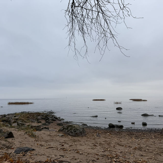 Autumn Charms of Alexandria: A Day by the Bay in Peterhof