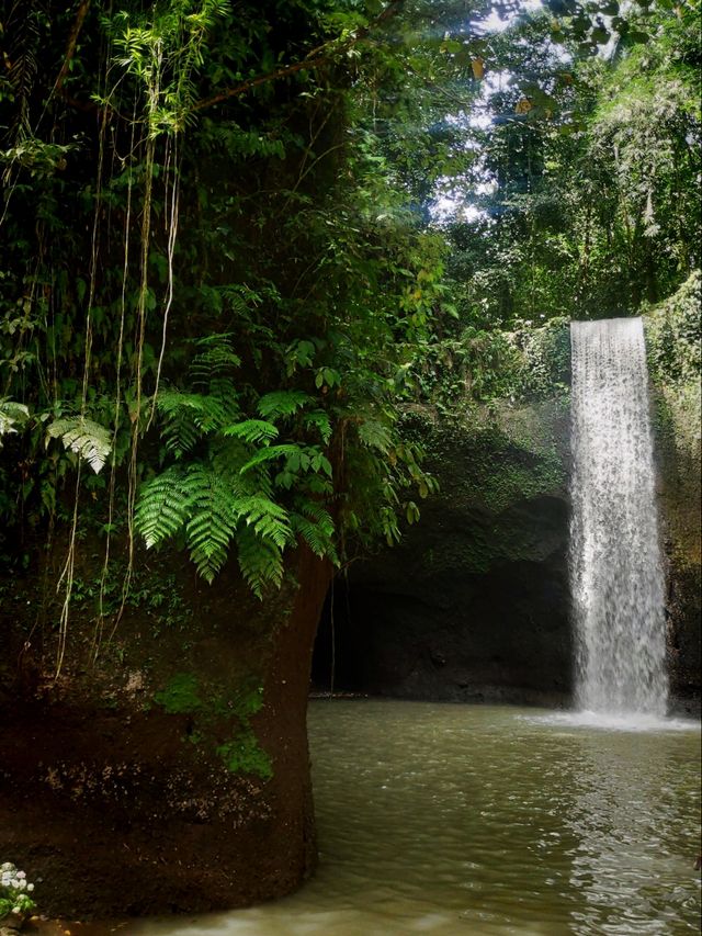 Beautiful Waterfalls of Bali