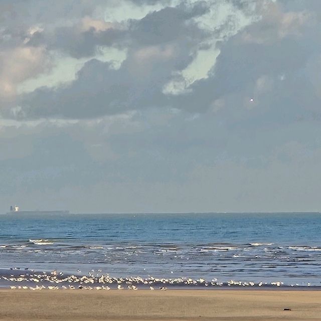英國海灘 - Rye