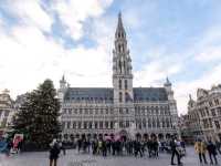 ชมแสงสีคริสต์มาสสุดอลังการที่จตุรัส Grand Place