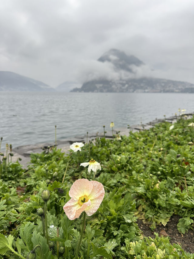 Lugano: Where Switzerland meets Italy