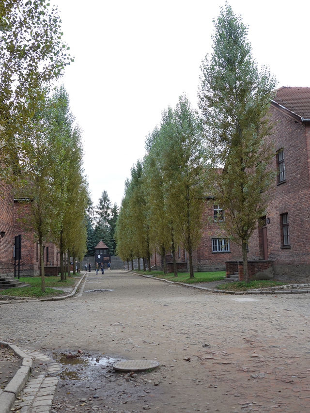 Auschwitz: A Profound Visit to a Dark Chapter of History