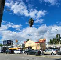 Stroll Among the Stars: The Walk of Fame in LA! ⭐️🎬
