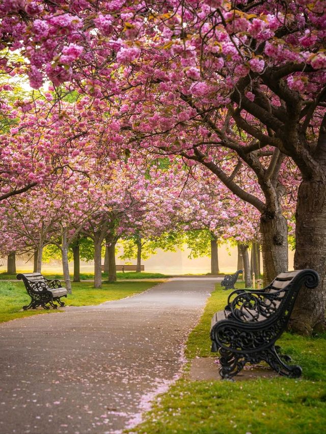 Spring in London: A Seasonal Dream 🌸🌷