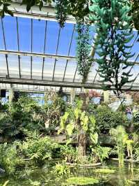 Beautiful Kew Gardens visit at least once!!