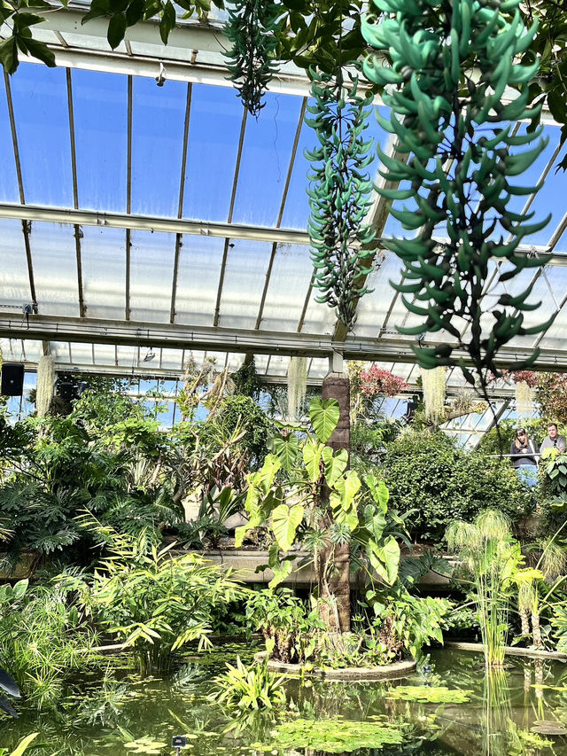 Beautiful Kew Gardens visit at least once!!