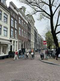 AmsterDAMN - Canals, Chaos & Cute Boys