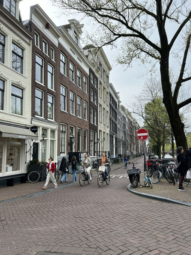 AmsterDAMN - Canals, Chaos & Cute Boys