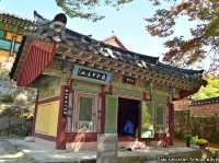 Bulguksa Yoghurt