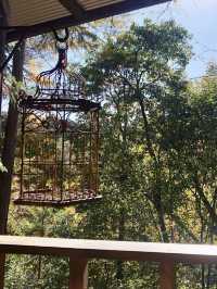 Spring Escape to Banebane no Sato