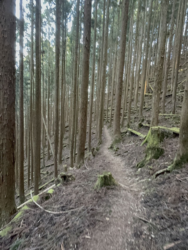 World heritage pilgrimage in Japan. Walking on Kumano Kodo