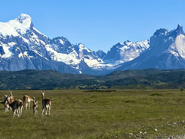 Soulful Solo Trek