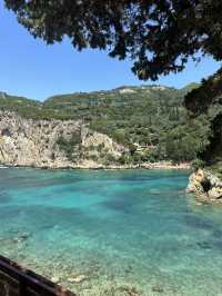 Stunning views in a lush costal island!🌊