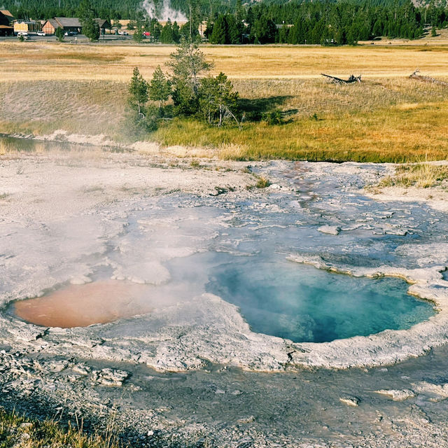 🌟 Top 3 Must-See Landmarks in Yellowstone National Park 🌟