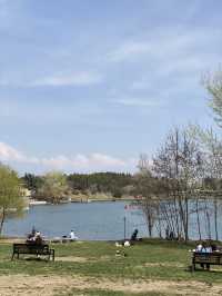 🌊 Discover Turtle Lake (Kus Tba) – Tbilisi’s Scenic Escape! 🐢